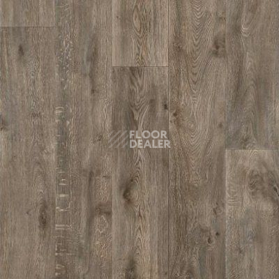 Линолеум Juteks Glamour TEXAS 5_969D фото 1 | FLOORDEALER